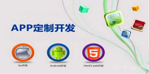 企业为什么要选择定制开发app 详情解析