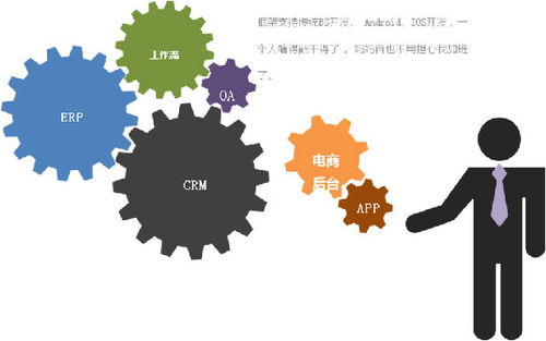 java快速开发平台,erp多种管理系统一步到位